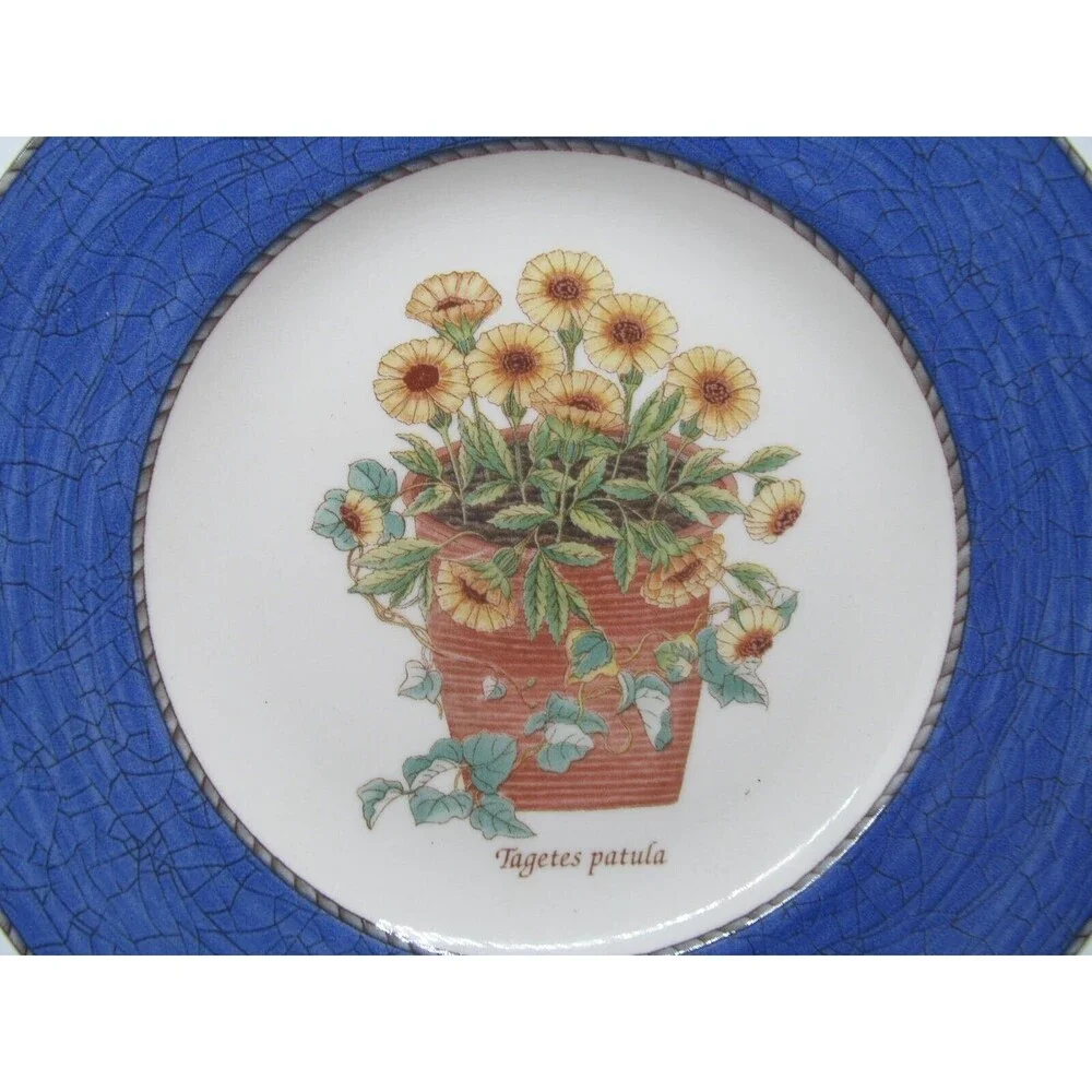 Wedgwood Queen's Ware England Sarah's Garden Tagetes patula Salad Plate 8